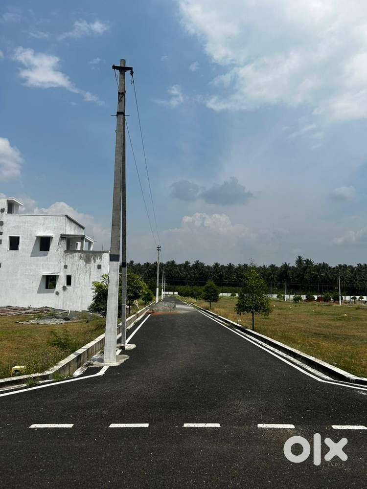 Oak tree  came  inside  the  corporation limited, noth face available