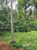20 cent plot for sale good  and plane plot