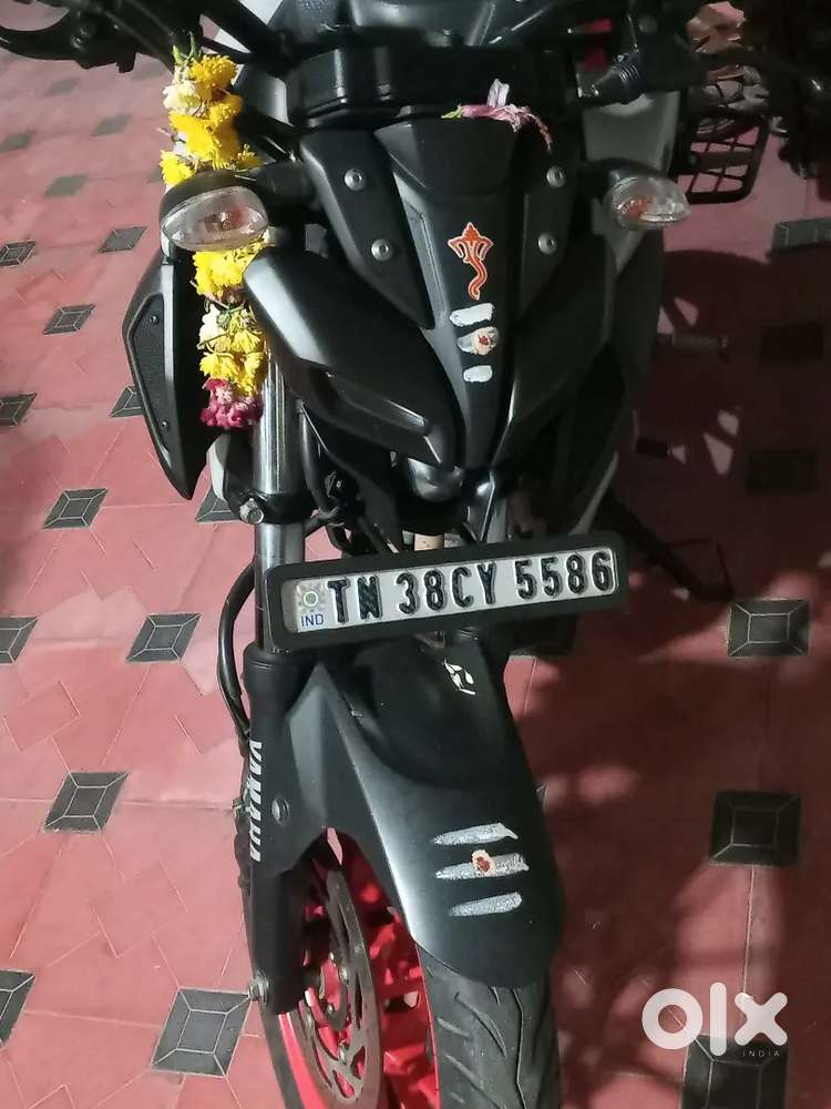 MT 15 2021