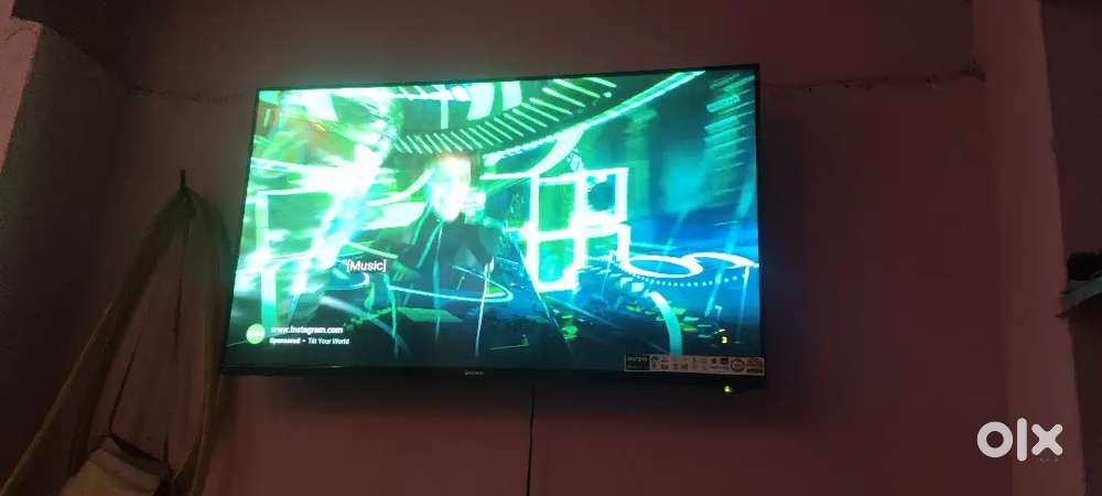 Barnded Bush  company tv