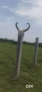 Agriculture land sale