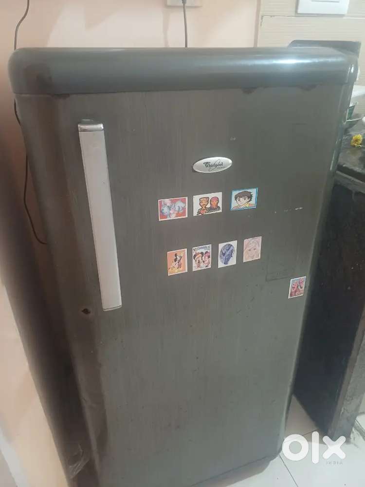 Fridge single door