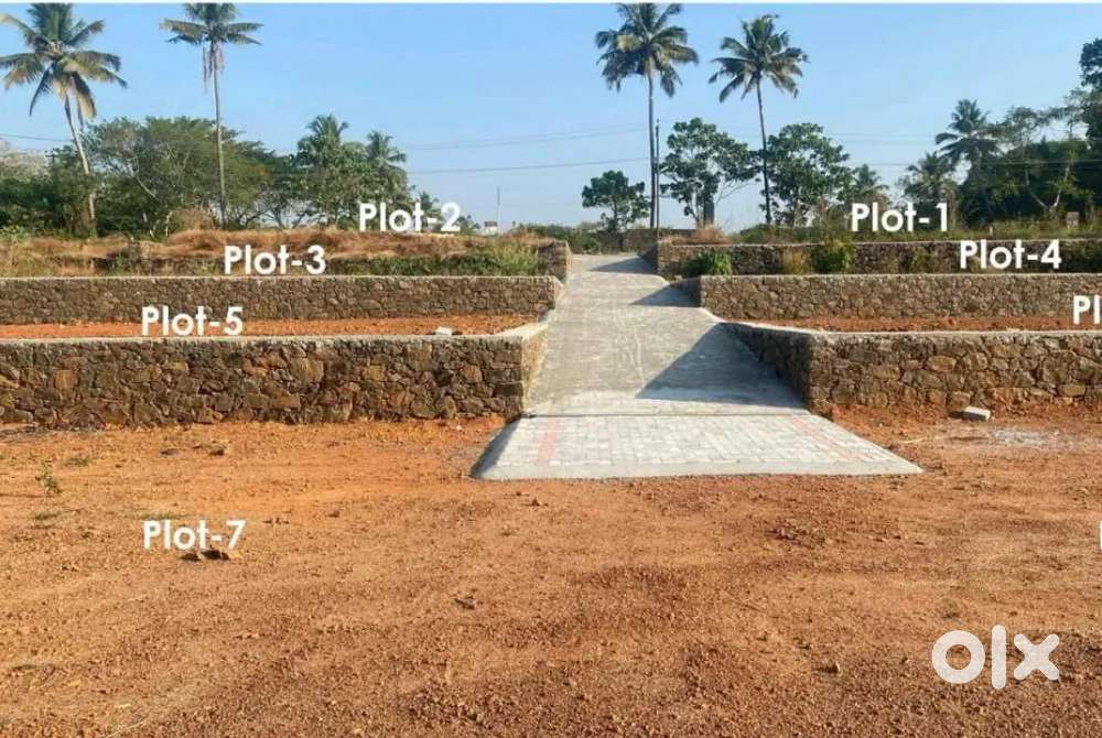 Angamaly - karayamparambu, NH - 400 Mtr  5cent,7cent,8cent,10 cent