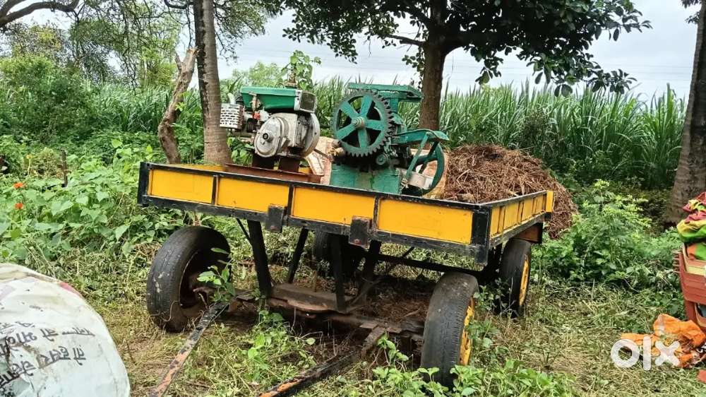 Sugarcane juice machine