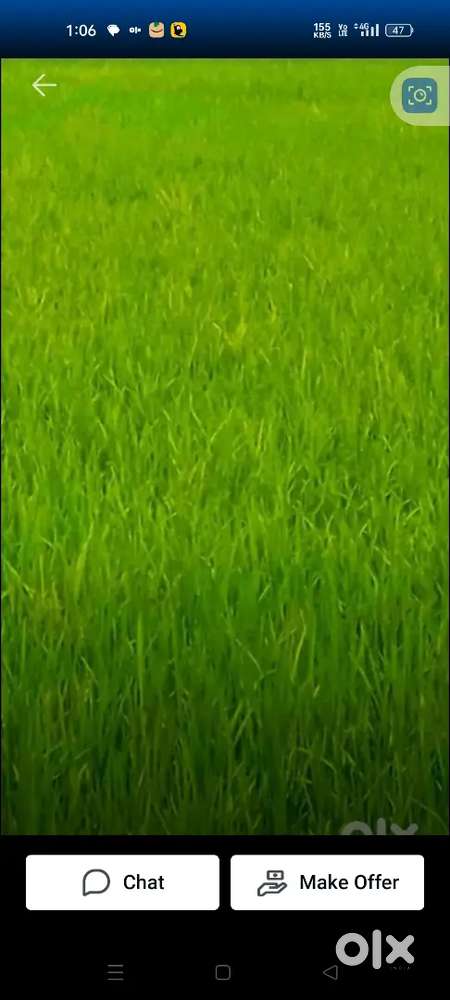 agricalture land for sale