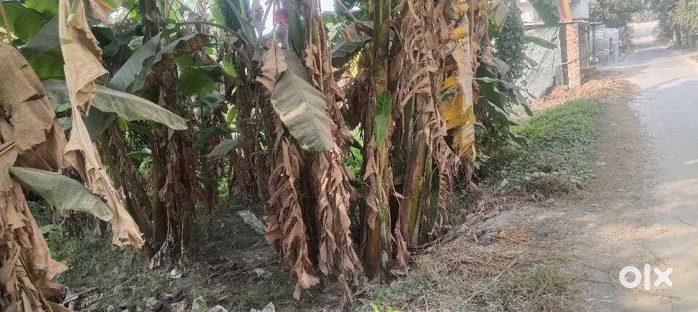 मदापुर चौबे, मुजफ्फरपुर - हाजीपुर फोरलाइन पर 4 कठ्ठा प्लॉट