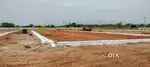 Rasipuram Sri Vidhya mandhir school near