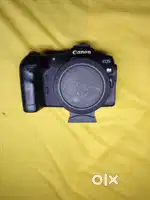 Canon R8 body and adaptor