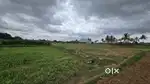 AGRICULTURAL LAND