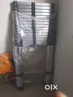 Telescopic ladder
