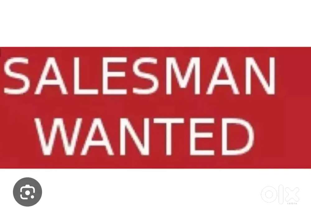 Wanted salesman