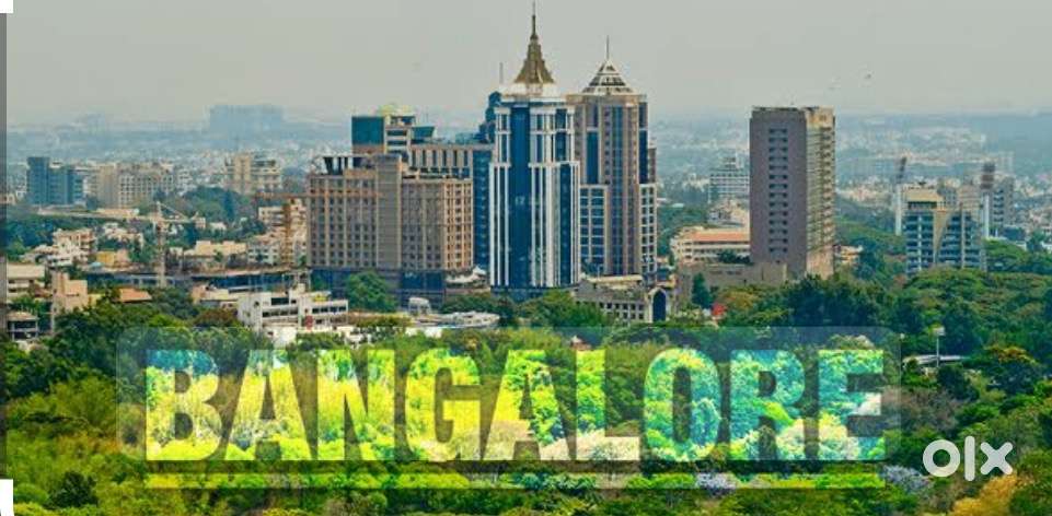 Personal Assistant female