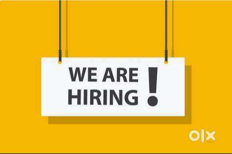 Back office Executive