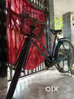 Ladies cycle