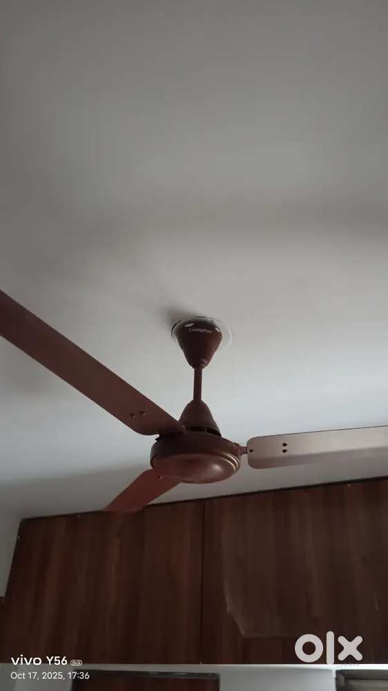 Crompton ceiling fan