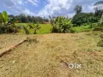 11 സെന്റ്  പ്ലെയിൻ പ്ലോട്ട് വിൽപ്പനക്ക് പഴംത്തോട്ടം ഗവർമെന്റ് സ്കൂളിന്