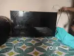 Haier TV and Zebronics speaker