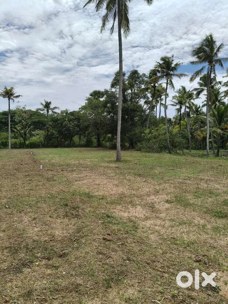 3,4,5cents panchayat approved plots for sale in Kaatuvilai,Velichantai