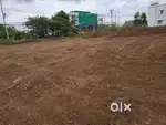 Salem valasayur HP petrol punk near