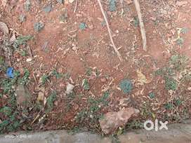 Plot for sale in sector no 71