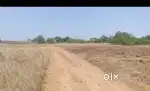 Tangiapada