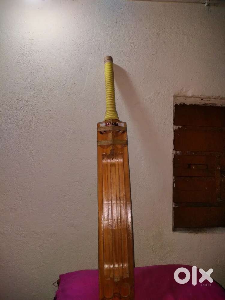 Cricket Bat