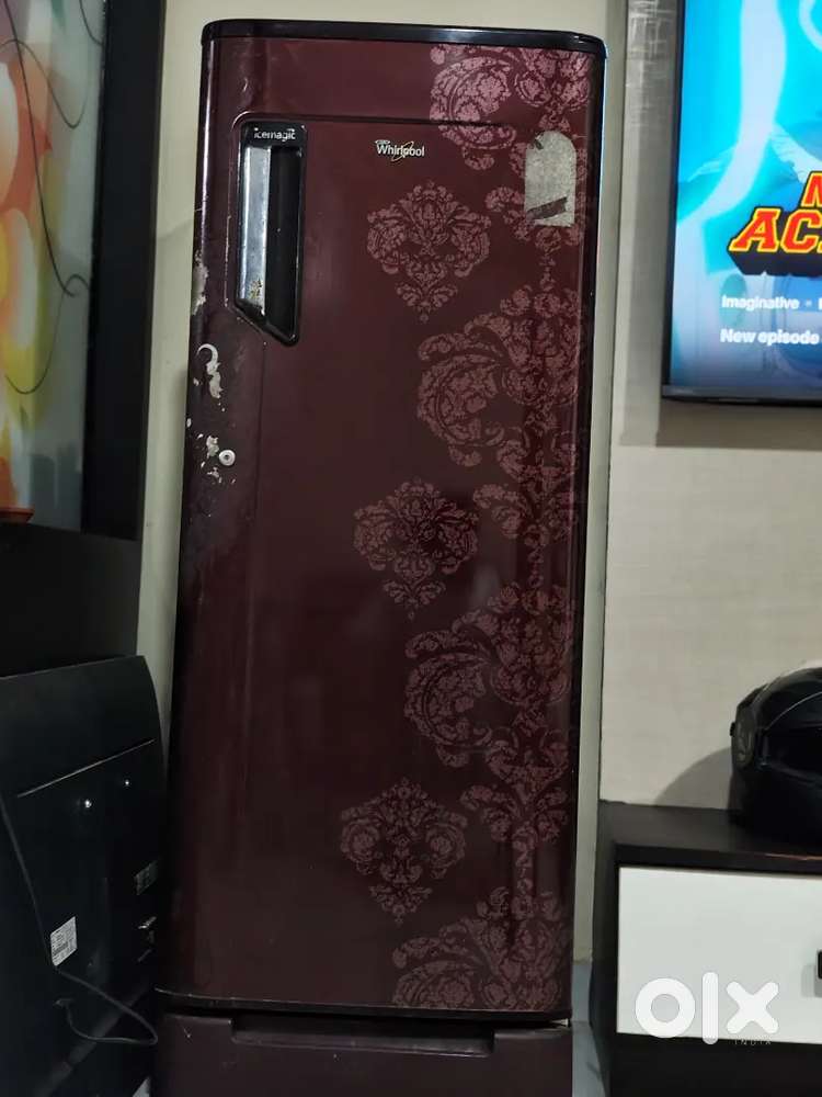 Single door refrigerator