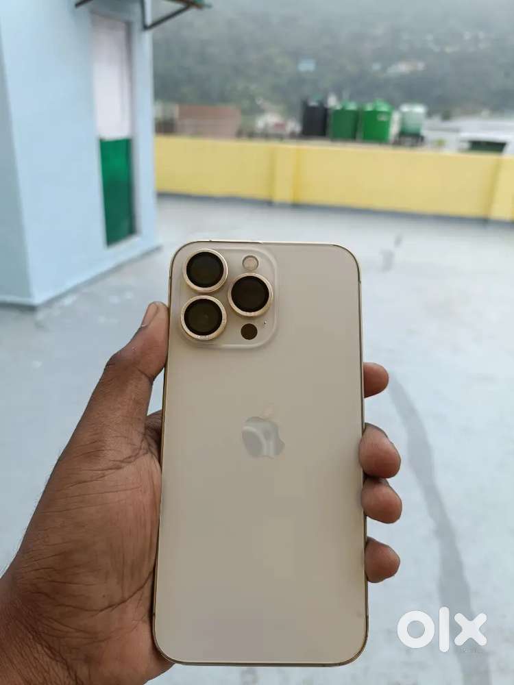 13 Pro (256GB) Battery Health 100%