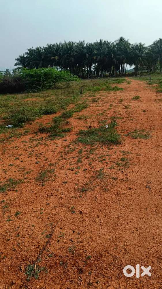 Koduvilarpatti,theni