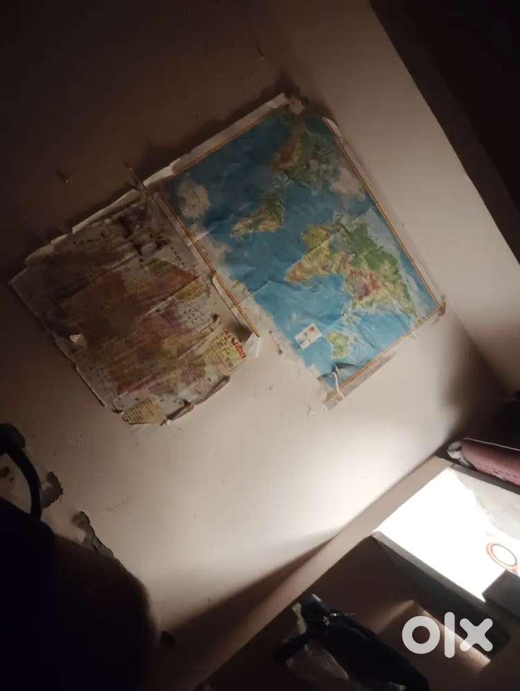 Student room partner