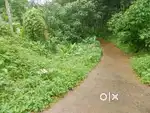 Pampady 5 cent house plot.1.10. lakh.