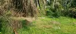 Tripunithura plot for sale