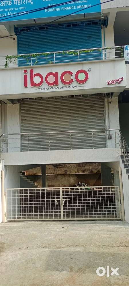Ibaco team member