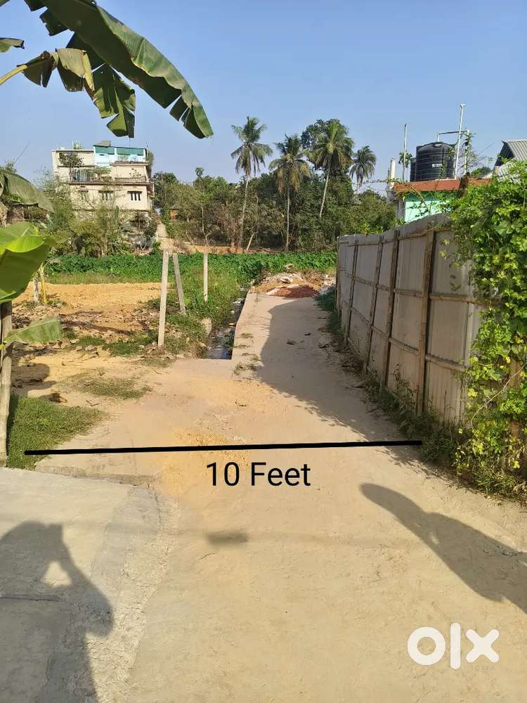 2.25 gonda plot for sale in Taltola, Bardowali.