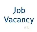 Fresher and Experience wanted