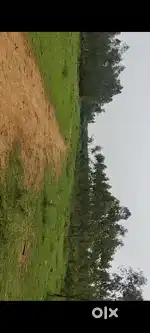 2km to bhogapuram airport
