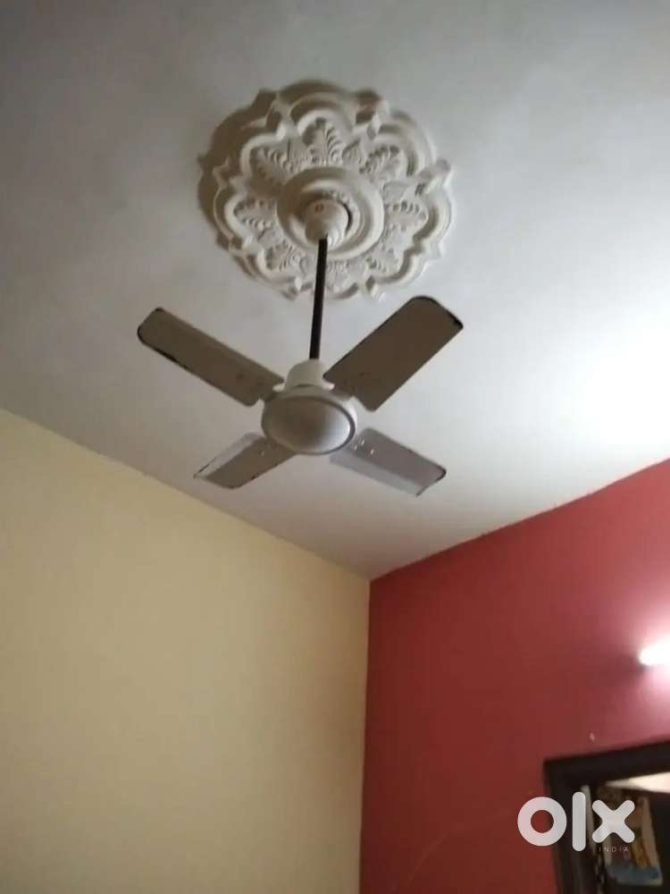 Havells Fan