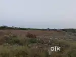Arakkonam land for sale @ 749 per sq.ft