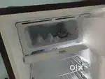 6 months old Freeze