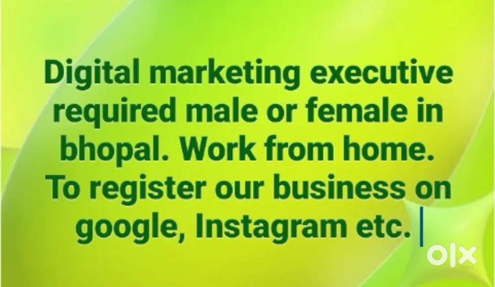 Digital marketing executive required wrok from home (male/female)