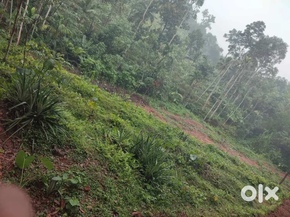 40 സെന്റ് വസ്തു, സെന്റിന് ₹60000