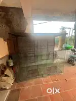 Big birds cage