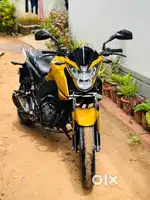 Honda hornet