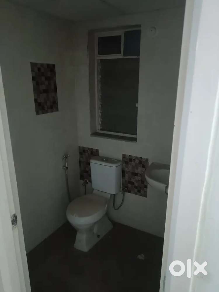 Looking for official working  Roommate