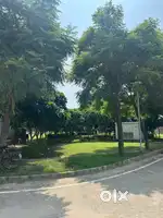 Park facing, east facing