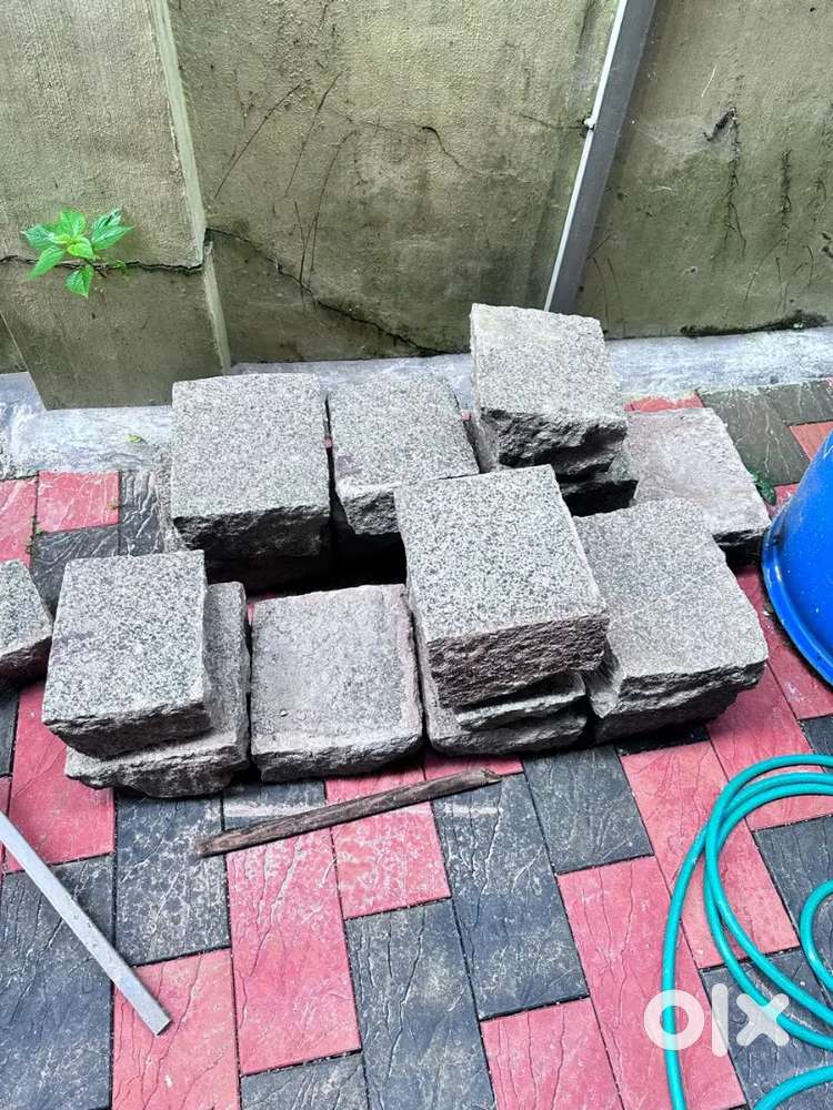 PAWING BLACK NATURAL STONES