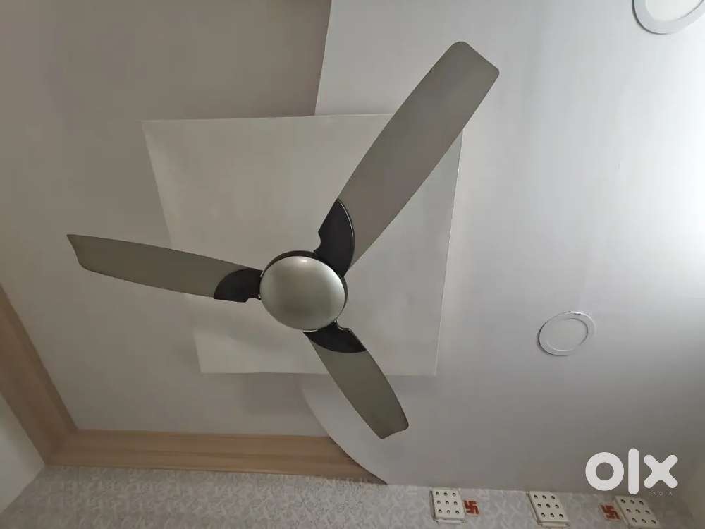 Ceiling Fan for bajaj