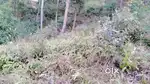 umlyngka mawpun lumpyngngad