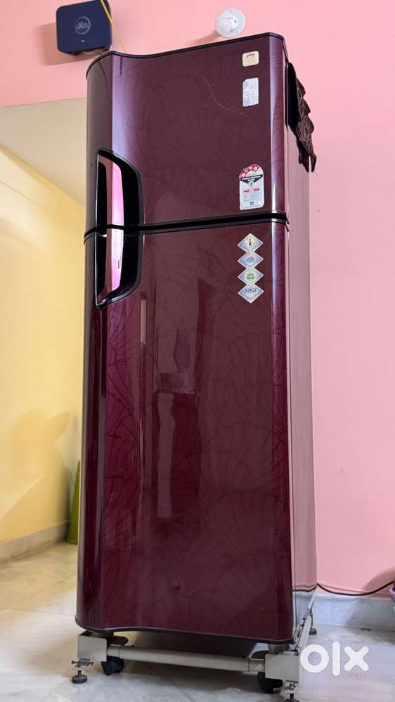 Godrej Eon Double Door Refrigerator