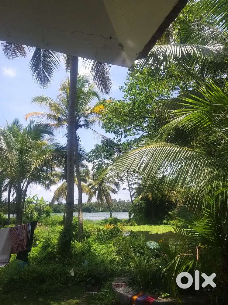 ഒരു വർഷത്തേക്ക് കൃഷി ചെയുവാൻ ചിറയോട് കൂടിയത് 75 cent